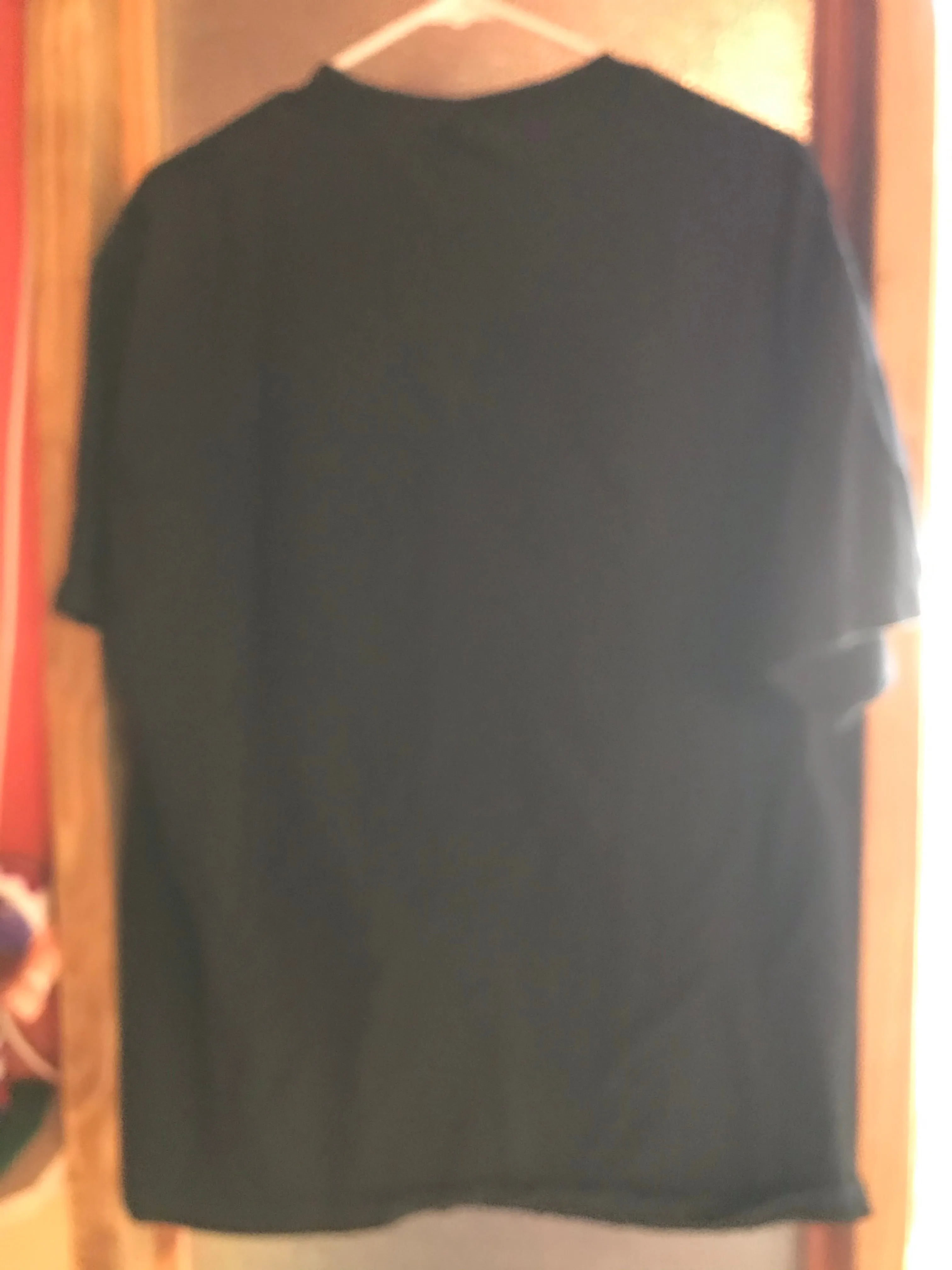 Mens I WILL NOT COME HOME DRUNK Tshirt Short Sleeve Cotton Black XL by LOL