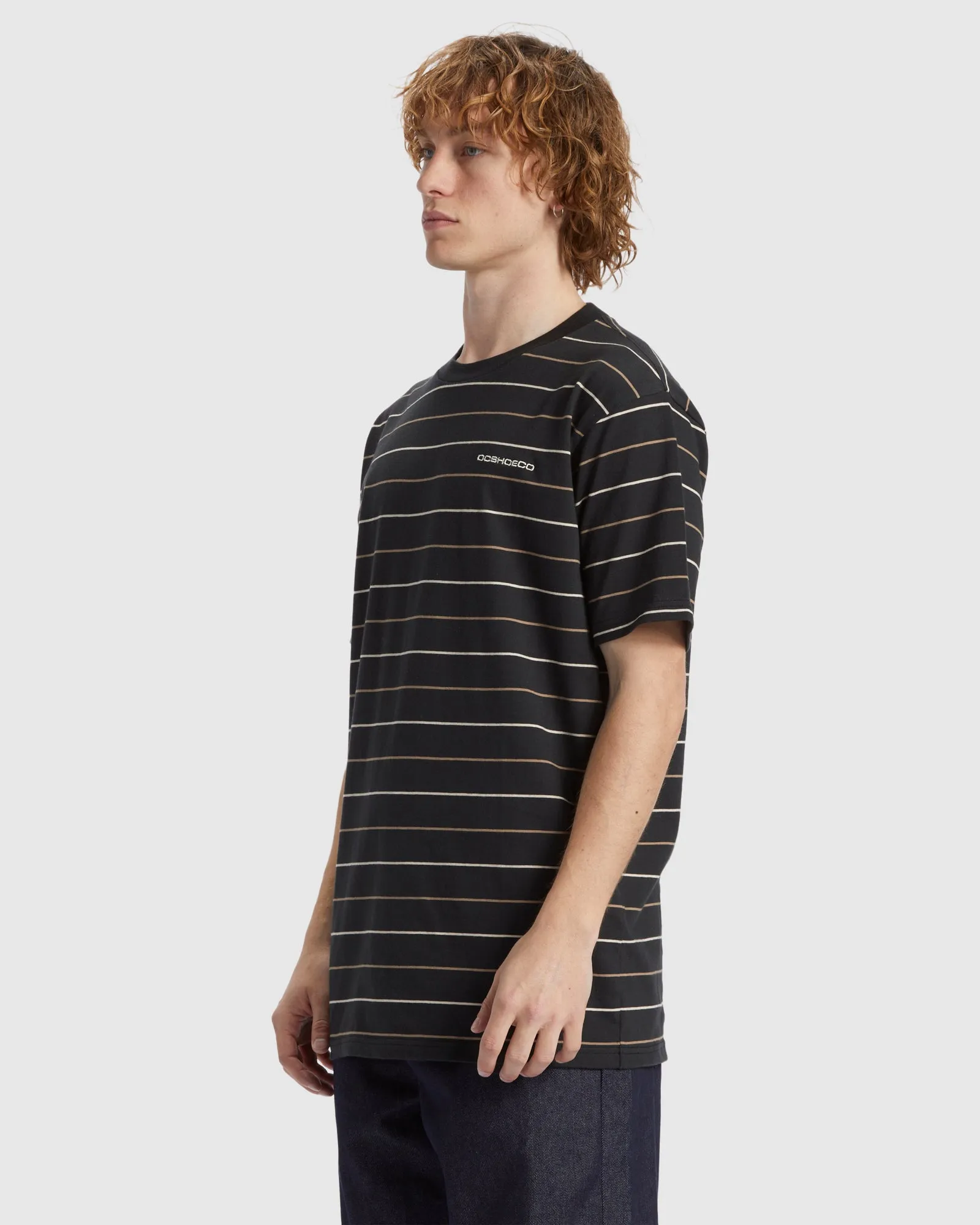 Mens Lowstate Stripe T-Shirt