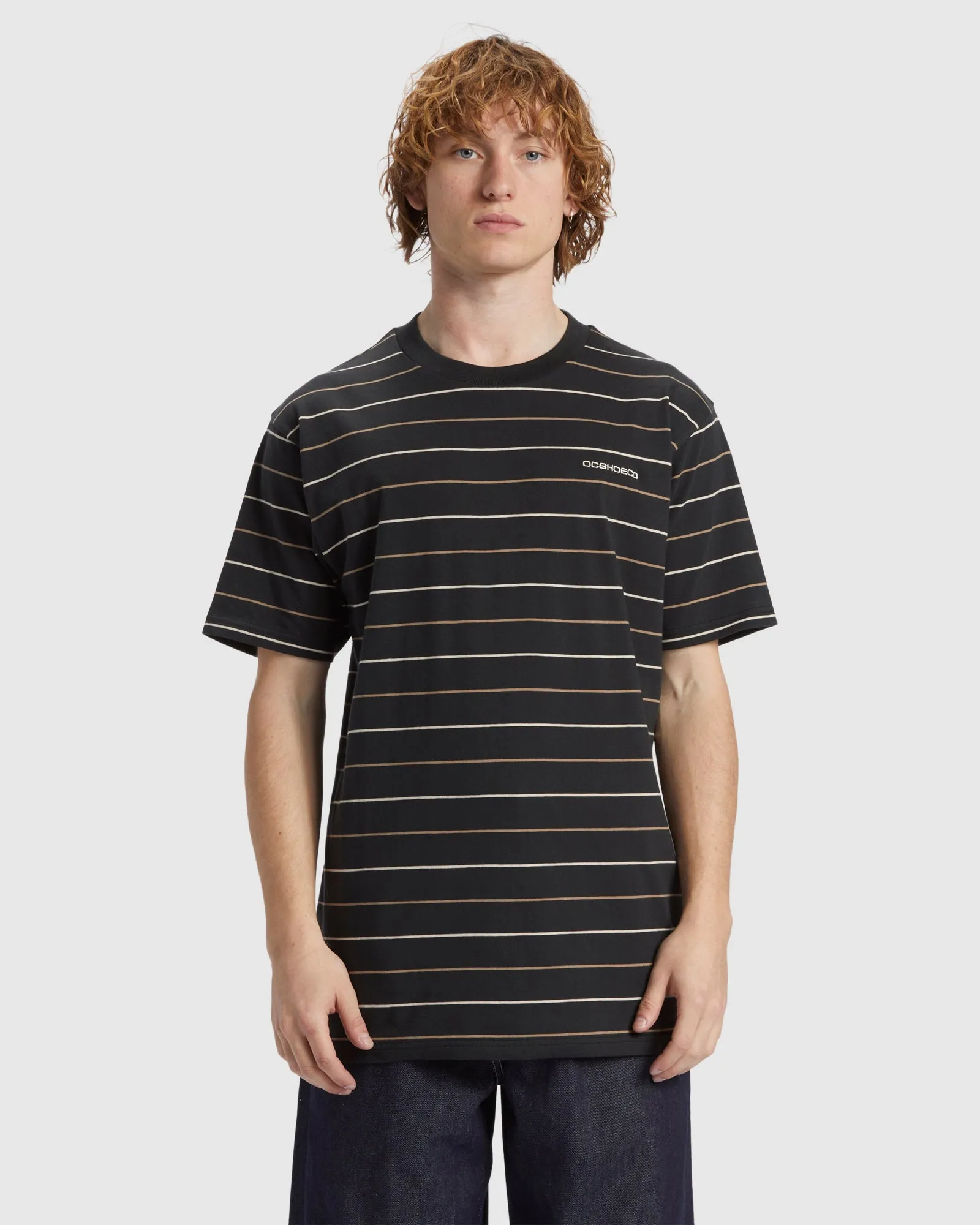 Mens Lowstate Stripe T-Shirt